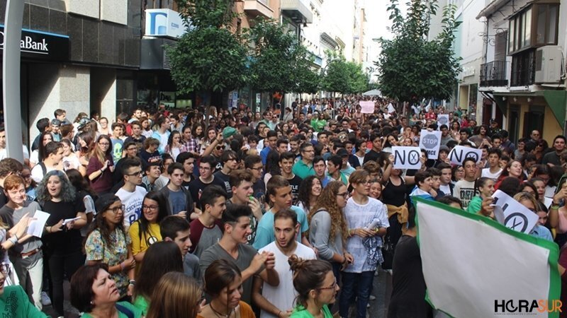 Manifestacion contra la Lomce en Algeciras, 26102016 (1)