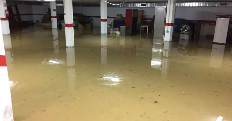 Las lluvias ca&iacute;das han dejado mas de un centenar de incidencias en la comarca, sobre todo en Los Barrios y San Roque (2)