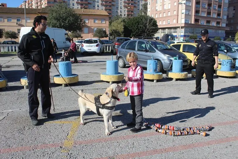 Las mejores im&aacute;genes del Arrastre de Latas 2017 en Algeciras (9)