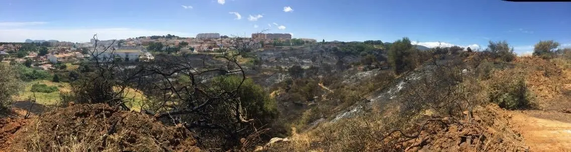 Terreno quemado en el incendio. Foto de Jos&eacute; Mar&iacute;a G&oacute;mez