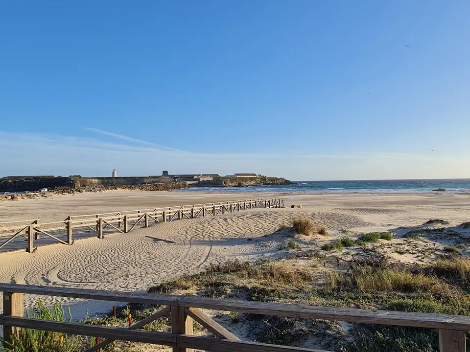 Tarifa (5)