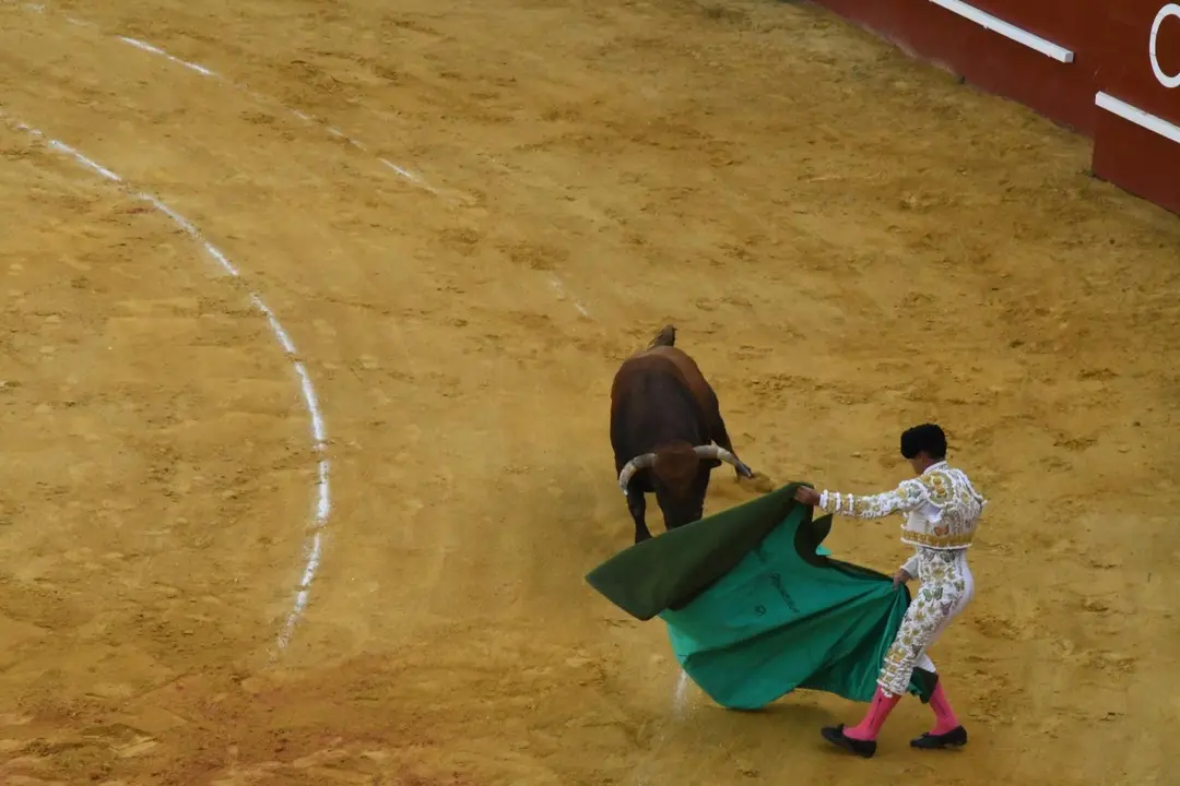 Toros Feria Real de San Roque (9)
