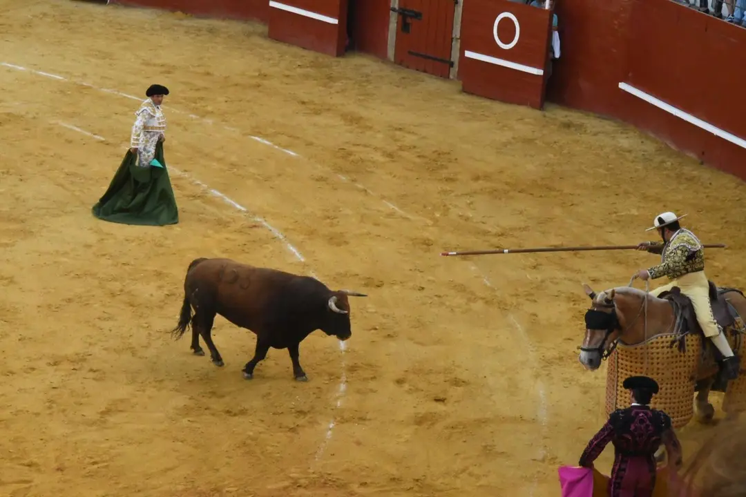 Toros Feria Real de San Roque (10)