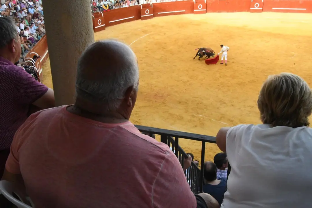 Toros Feria Real de San Roque (14)