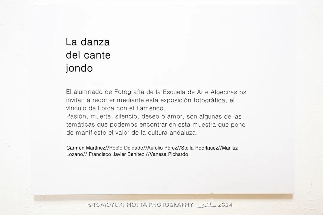 Danza del cante jondo. Foto Tomoyuki Hotta (5)