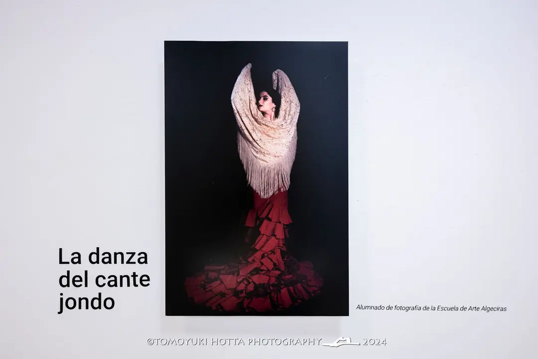 Danza del cante jondo. Foto Tomoyuki Hotta (6)