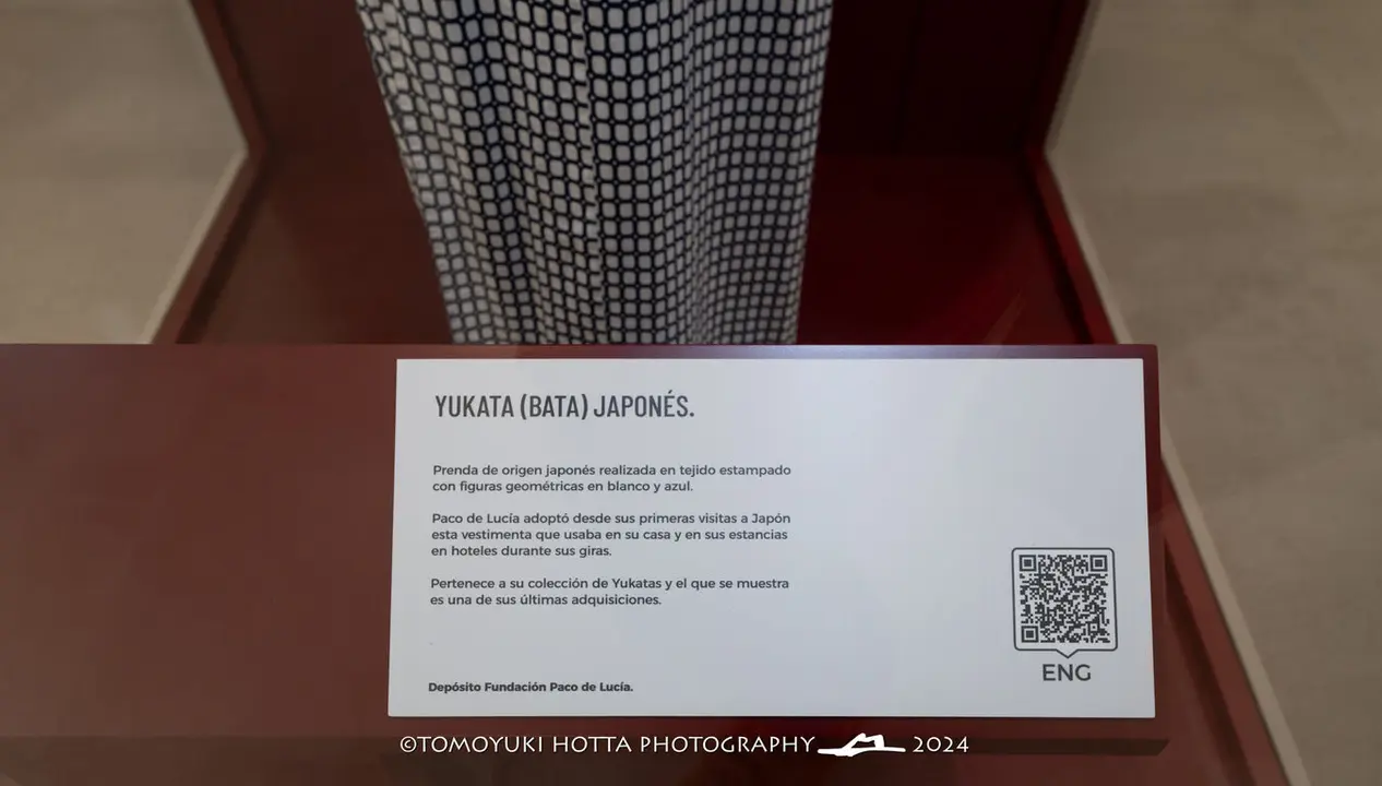 Museo Paco de Luc&iacute;a. Foto Tomouyki Hotta (3)