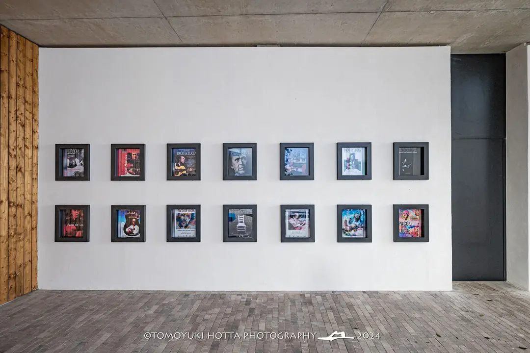Museo Paco de Luc&iacute;a. Foto Tomouyki Hotta (9)