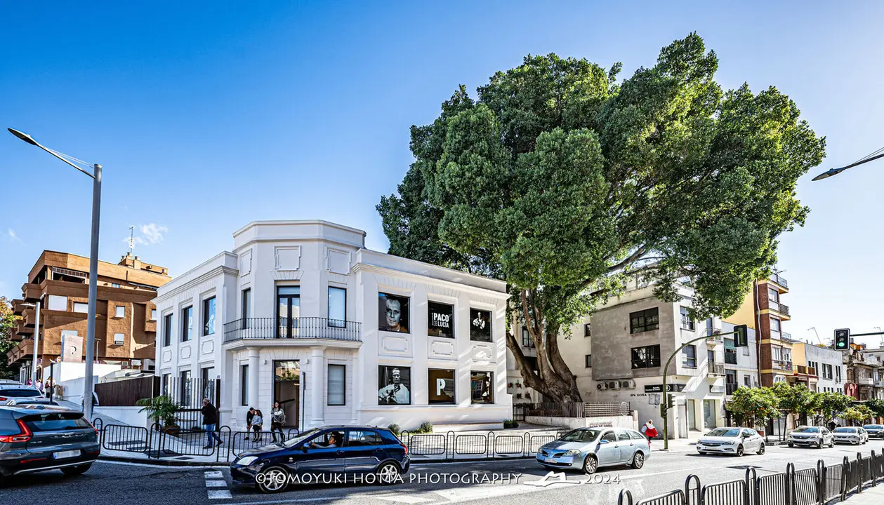Museo Paco de Luc&iacute;a. Foto Tomouyki Hotta (13)