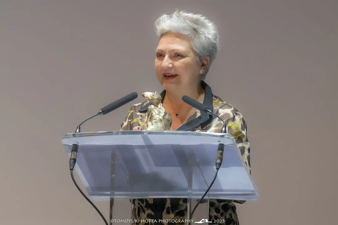 Clausura Algeciras Fantastika. Foto Tomoyuki Hotta (12)