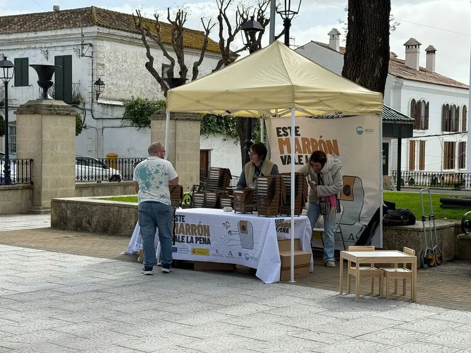 Este marr&oacute;n vale la pena (3)