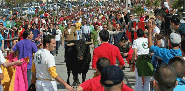 Toro embolao en Los Barrios