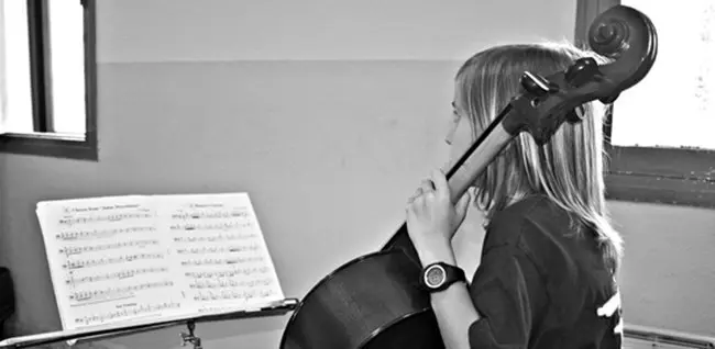 violonchelo_550