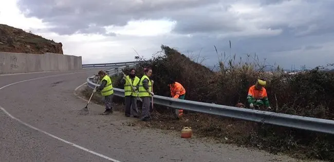 Desbroce en la carretera del Faro