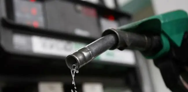 gasolina