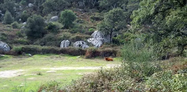 Llano de las tumbas en la Garganta del Capitan