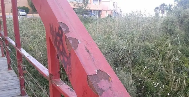 Puente R&iacute;o P&iacute;caro
