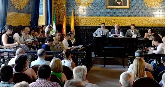 PLENO ORDINARIO