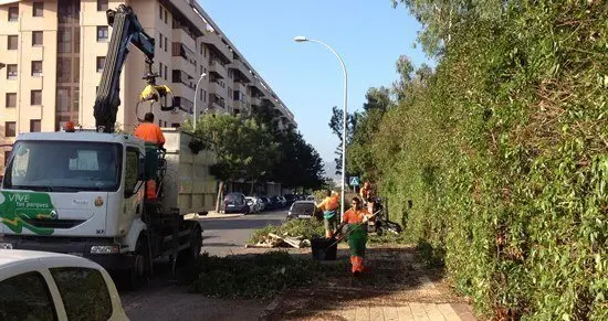 PARQUE Y JARDINES