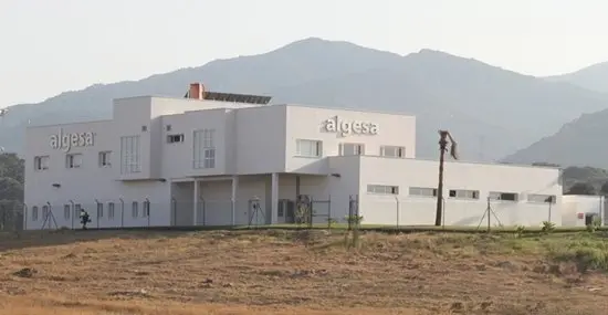 Algesa