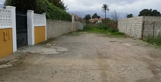 10557351_10202741924773699_2375257107160102135_n