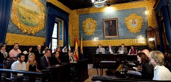 pleno extraordinario
