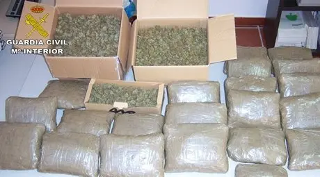 MARIHUANA LOS BARRIOS