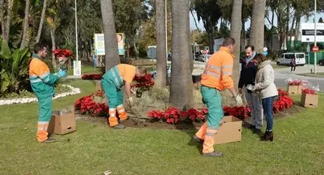 pascueros