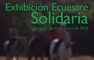 caballos