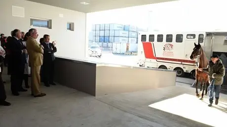 visita pif
