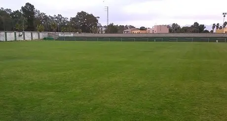Campo Palmones2