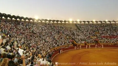 Aspecto de la Plaza de Las Palomas