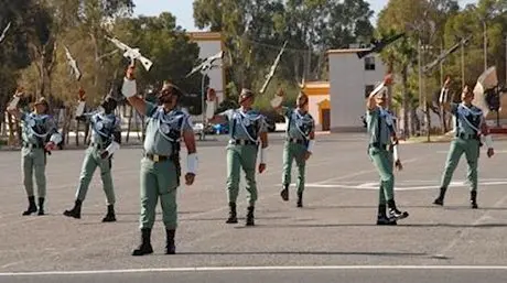 dfa1
