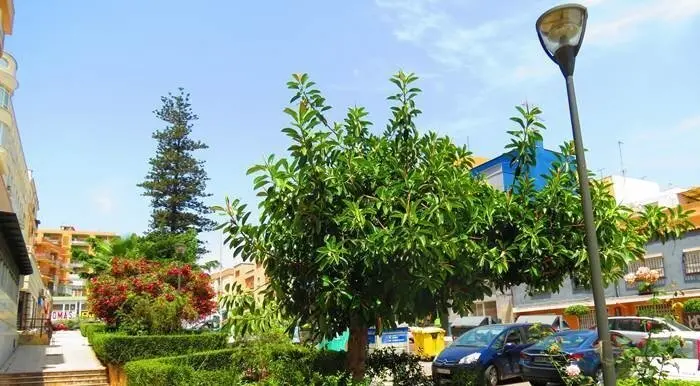 Zona Verde Secano