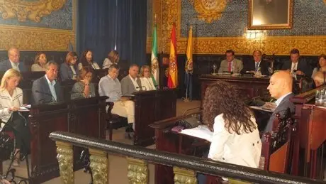 Pleno ordinario (2)