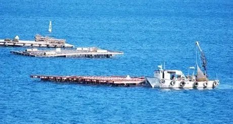 86941043