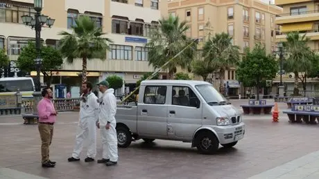 TRABAJOS EN PALMERAS