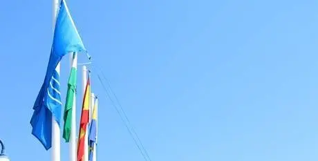IZADO BANDERA AZUL