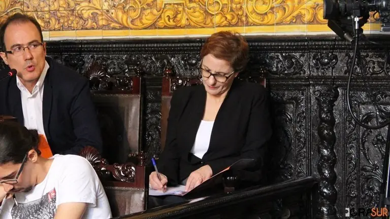 La edil, Elena Abad en un pleno