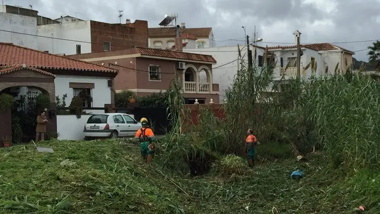 Trabajos calle Petunia