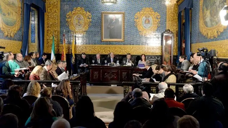 PLENO ORDINARIO