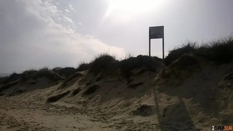 Dunas de Palmones en el Rinconcillo