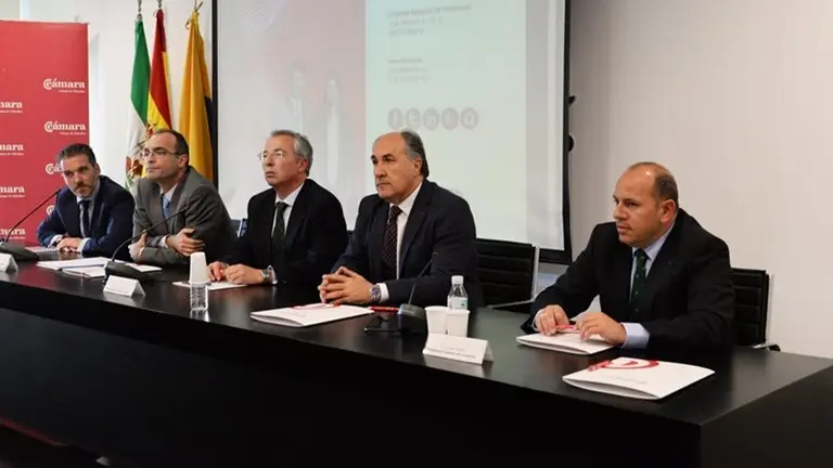 CAMARA DE COMERCIO PLAN DE INDUSTRIALIZACION