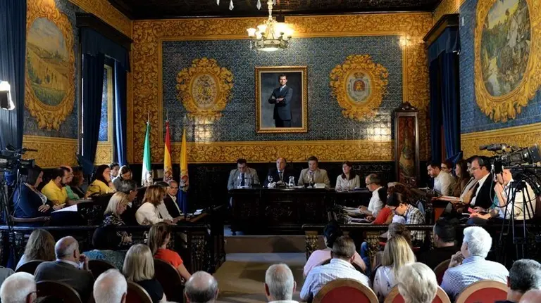 PLENO ORDINARIO (2)