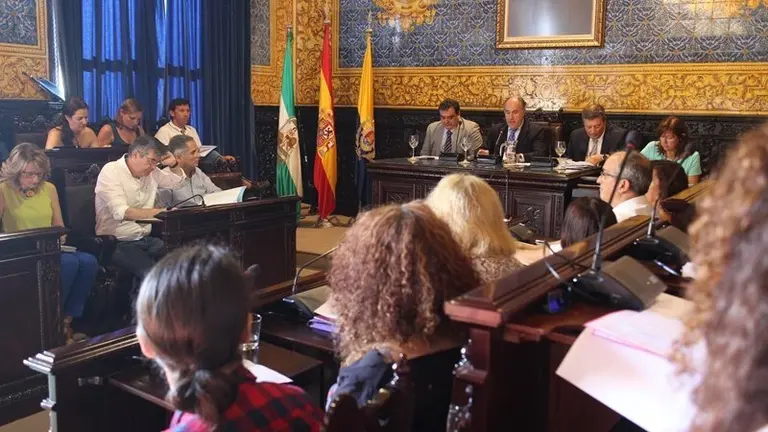 Pleno (1)