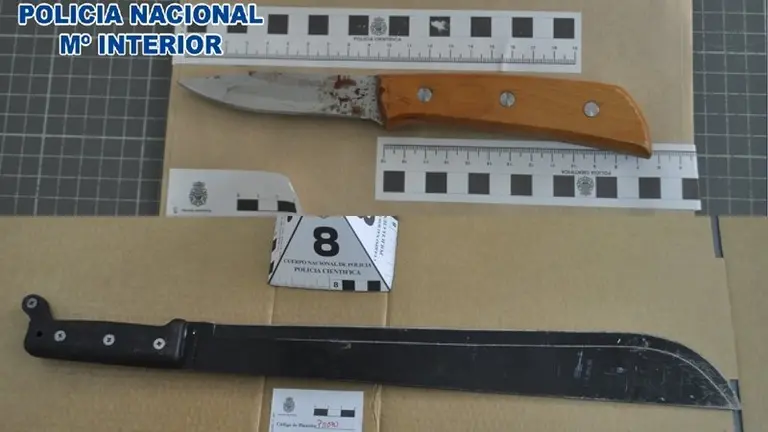 Armas utilizadas