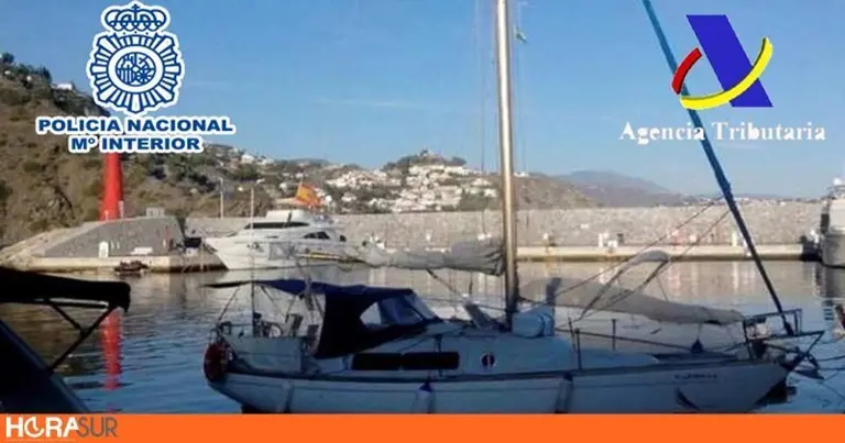 Velero Hachis