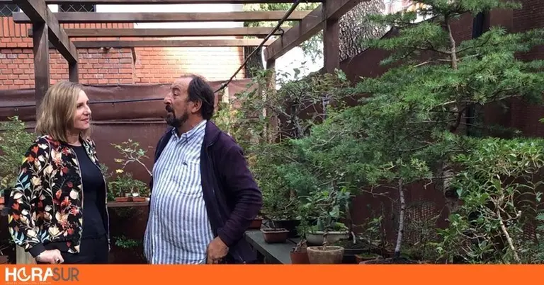 Jardin del Bonsai