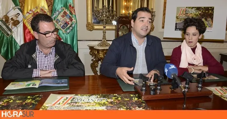 Trebujena Mosto
