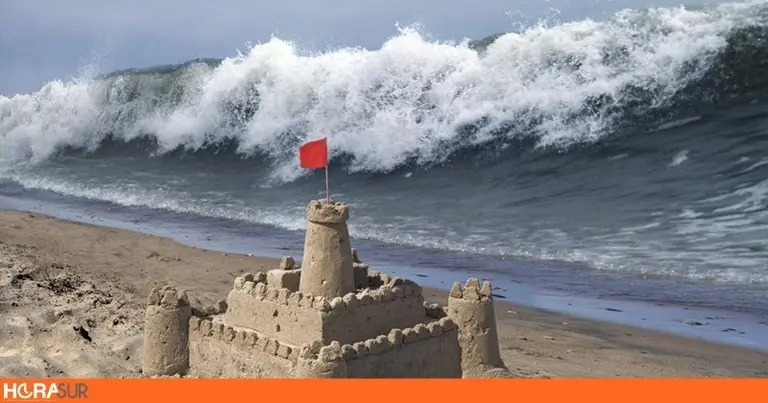 tsunamis-form_ab4ded295ce5a580